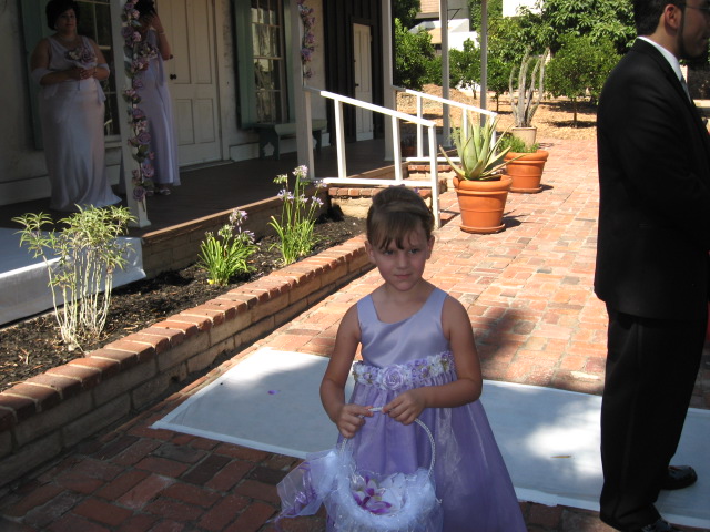 617x456 pixels (133K)